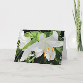 Lilies Greeting Card Kort