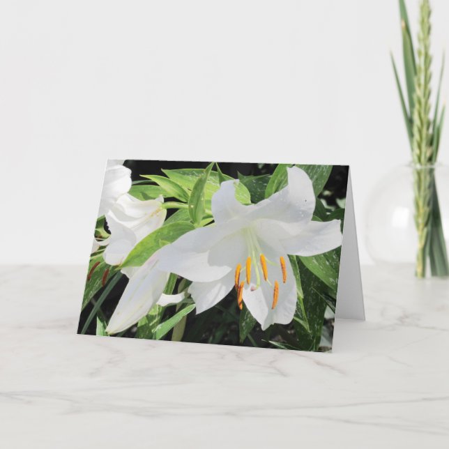 Lilies Greeting Card Kort (Framsida)