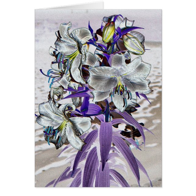 Lilies Hälsningskort (Framsidan)