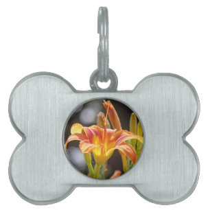 Lilies in the Sunshine ID-bricka Husdjur