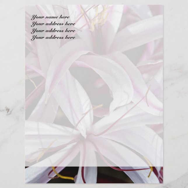 Lilies Letterhead Design Brevhuvud (Framsida)
