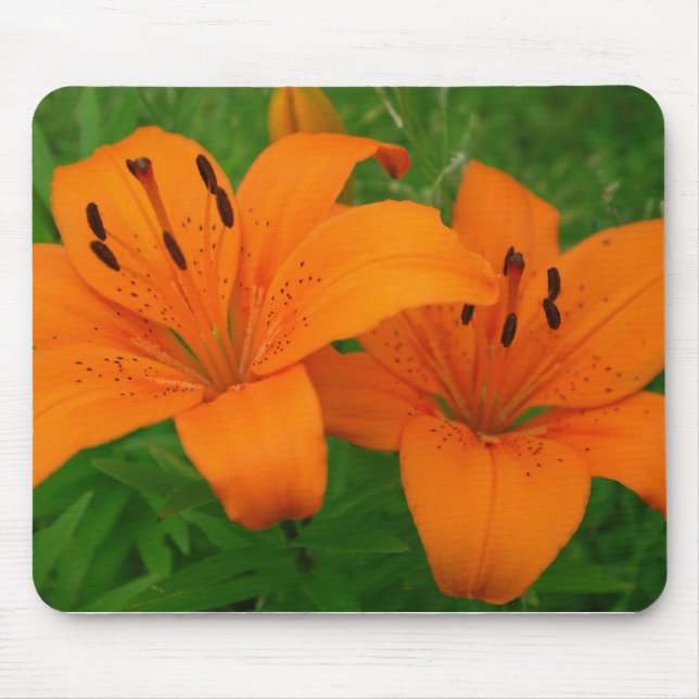 Lilies Mousepad Musmatta (Framsidan)