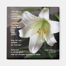 Lilies of the Fält - Magnet