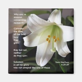 Lilies of the Fält - Magnet