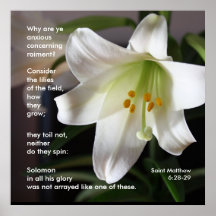 Lilies of the Fält - Poster