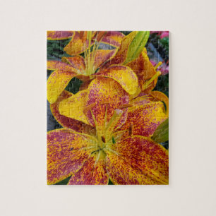 Lilies Pussel