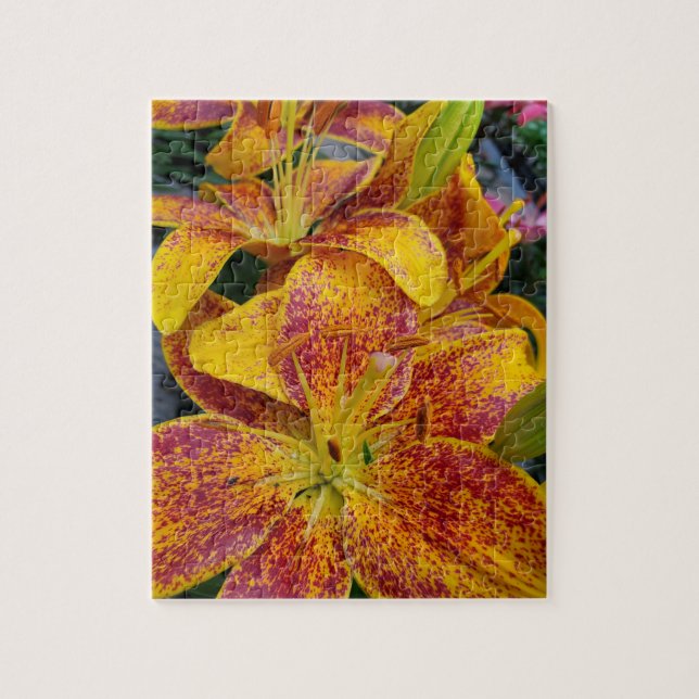 Lilies Pussel (Vertikal)