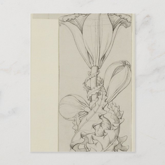 Lililys geni, 1809 vykort (Framsida)