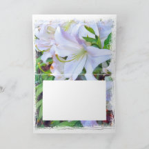 Lilium"Casa Blanca" [gratulationskort]