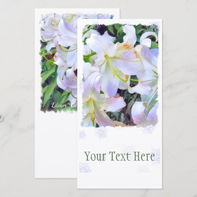 Lilium"Casa Blanca" [Plattstyrkort] Meddelande (Fram/baksida)