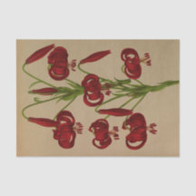 Lilium Chalcedonicum av Arentina Hendrica Arendsen