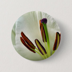 Lilium Oriental White Badge Knapp