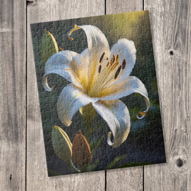 Lilium Pussel (Skapare uppladdad)