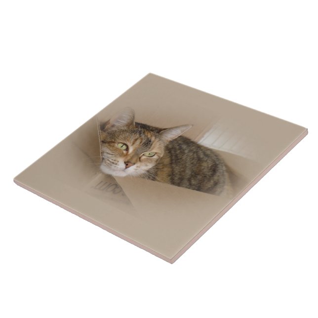 Lilja #1 kakelplatta (Sidan)