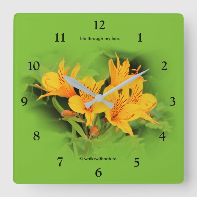 Lilja av incasna/gul Alstroemeria Fyrkantig Klocka (Framsida)