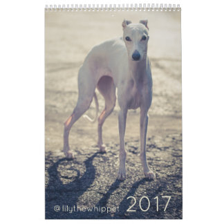 Lilja den Whippet 2017 kalendern Kalender
