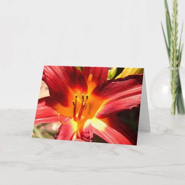 Lilja Kort (Framsida)