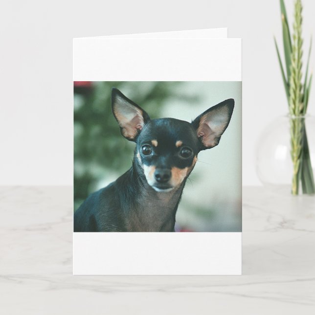 Lilja Kort (Framsida)