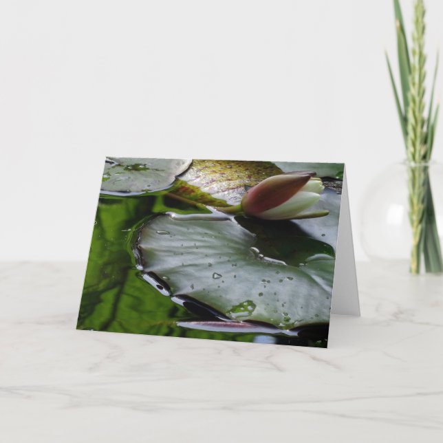 Lilja omkring som blommar hälsningkortet kort (Framsida)