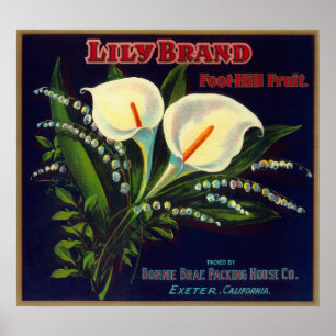 Lilja orange LabelExeter, CA Poster