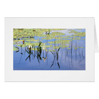 Liljadynor och sjögräs hälsningskort