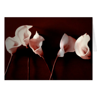 Liljakärlek Hälsningskort