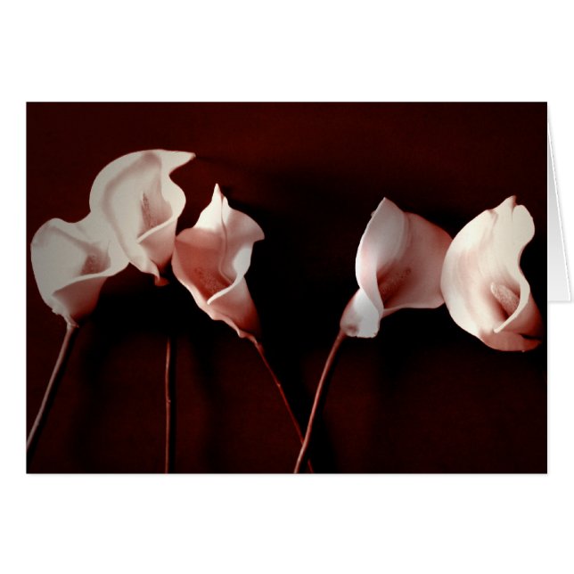 Liljakärlek Hälsningskort (Framsidan Horizontal)