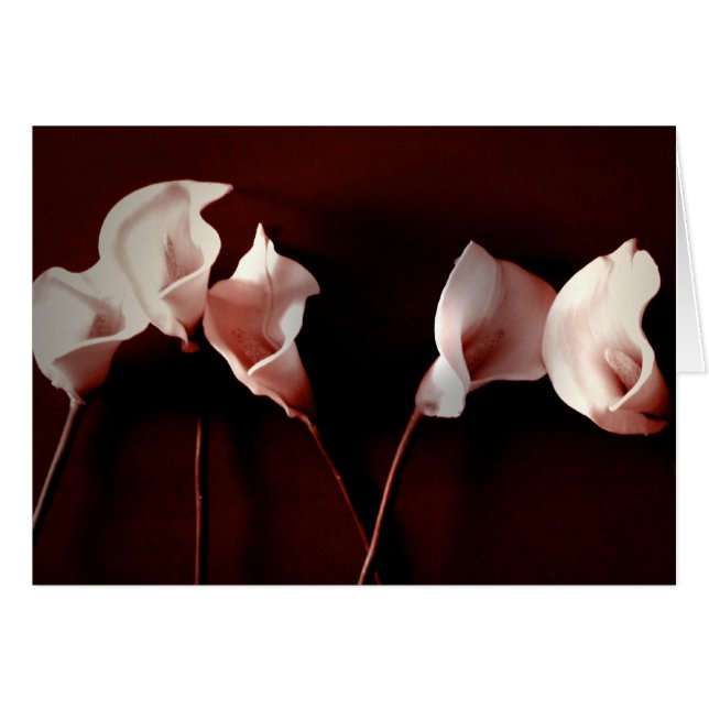 Liljakärlek Hälsningskort (Framsidan Horizontal)