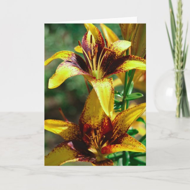 liljar av fälten kort (Framsida)