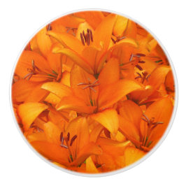 Liljar för trädgård för blommafotoorange knopp