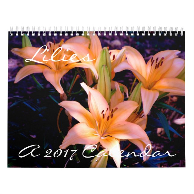 Liljar - kalender 2017 (Omslag)