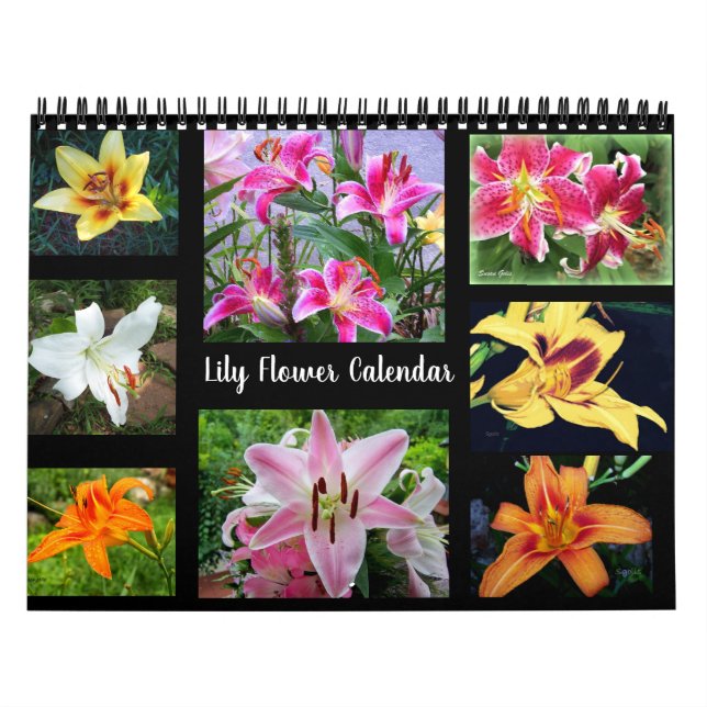 Lilje blomfotografering kalender (Omslag)