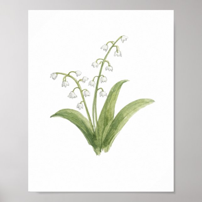 Liljekonstblomstermålning Poster (Framsidan)