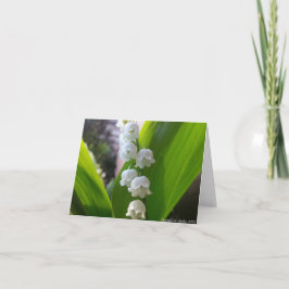Liljekonvalj Notecard Kort