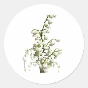 Liljekonvaljblommor Runt Klistermärke