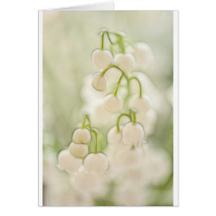 Liljekonvaljblommor skissar hälsningskort