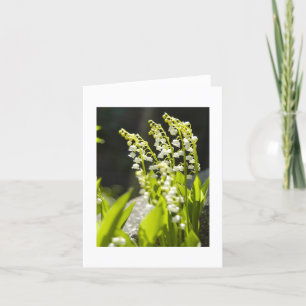 Liljekonvaljer från mitt trädgårds-…., kort