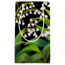 Liljekonvaljträdgården blommar gåvan hänger lös