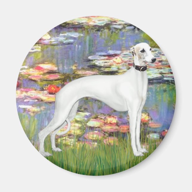 Liljor 2 - Vit Whippet (11b) Magnet (Framsidan)