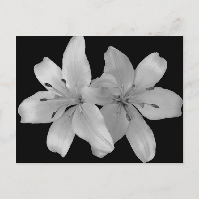 Liljor Vykort (Framsida)