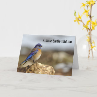 Lilla Bird sa till mig, var försiktig med vad du v Kort