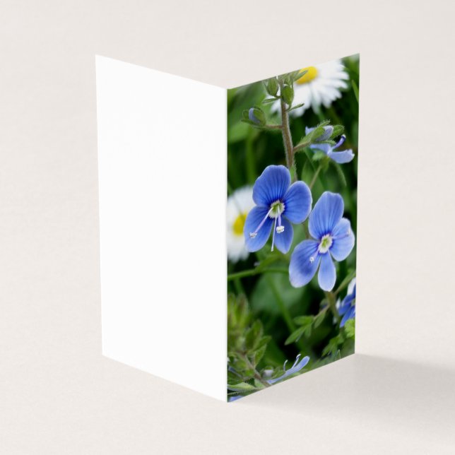 lilla blåa blommor kort (Utsida)