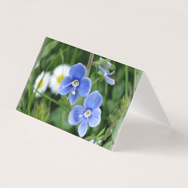 lilla blåa blommor kort (Framsida)