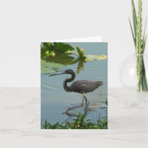 Lilla blått Heron-fotomappat anteckningskort