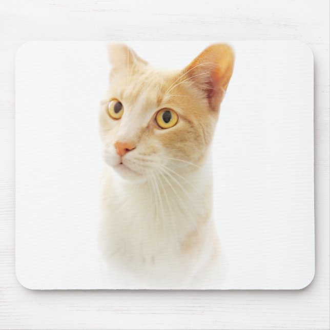 Lilla Blondie Katt Undrar Musmatta (Framsidan)