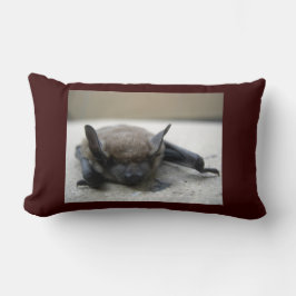 Lilla brun fladdermus (Myotis lucifugus) Lumbarkudde