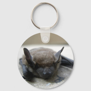 Lilla brun fladdermus (Myotis lucifugus) Nyckelring