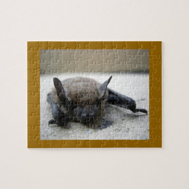 Lilla brun fladdermus (Myotis lucifugus) Pussel (Horisontell)