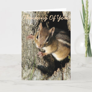 Lilla Chipmunk tänker på dig. Kort