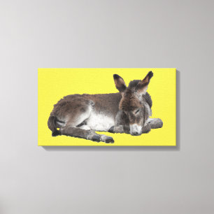 Lilla Chocolate Donkey Baby Foal nere Canvastryck